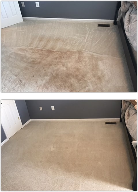 Carpet Cleaning Services - Carpet Cleaning Near me - Installmart